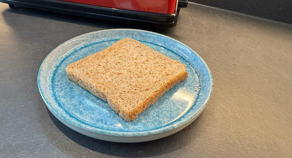 Eine Scheibe Vollkorntoast liegt auf einem Teller.