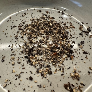 Grobe Pfefferkörner mit dem Russell Hobbs Salz- und Pfeffermühlen-Set 28010-56