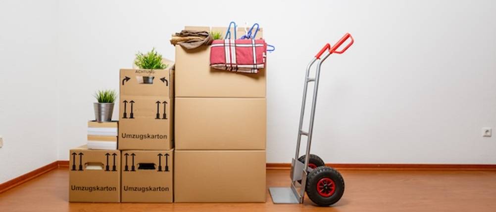 Sackkarre 250 kg im Test. Sackkarre steht mit Umzugsgut in einem leeren Zimmer.