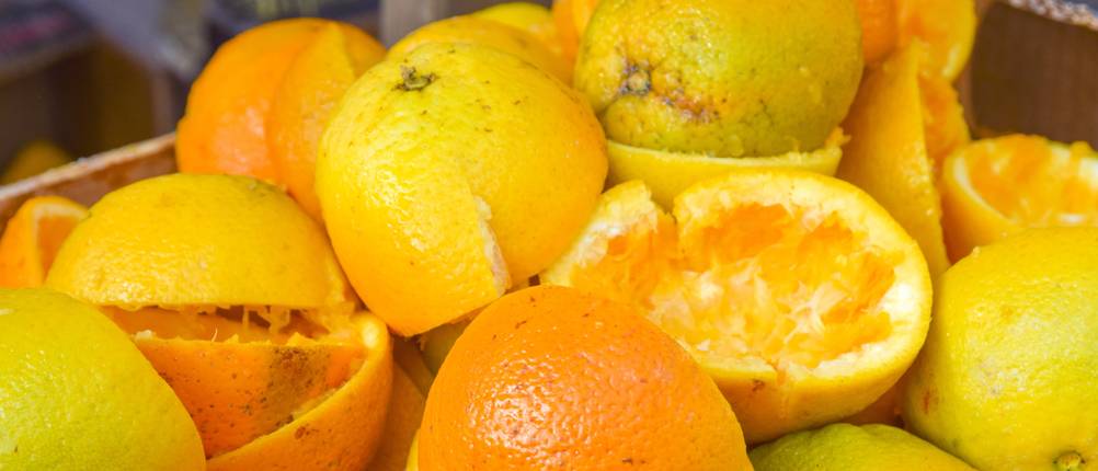 saftpresse test orangen