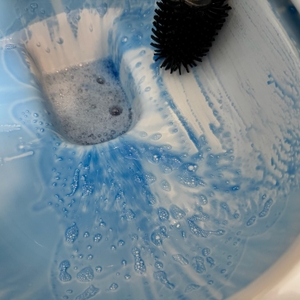 Mit einer Toilettenbürste wird eine Schüssel mit dem blauen Sagrotan-WC-Reiniger Blütenfrische gereinigt.