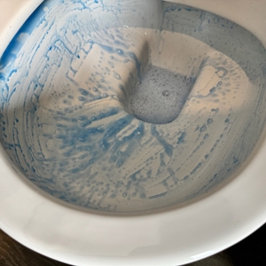 Der Sagrotan-WC-Reiniger Blütenfrische wurde mit einer Bürste verrieben und ist nur noch zum Teil sichtbar.