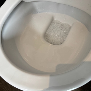 Nach der Spülung ist die blaue Farbe des Sagrotan-WC-Reinigers Blütenfrische komplett verschwunden.