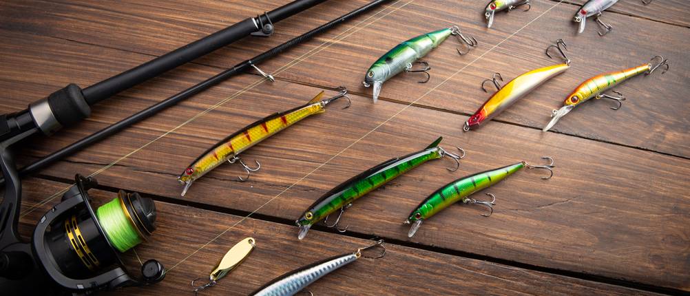 Salmo-Wobbler-Test
