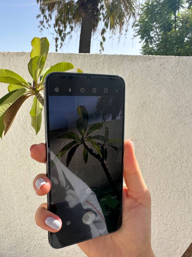 Samsung Galaxy S20 Panzerglas-Test: Hand hält ein eingeschaltetes Smartphone vor eine Pflanze.