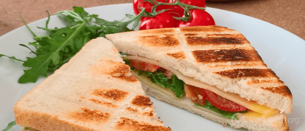 Man sieht ein gebratenes Sandwich aus einem getesteren Toaster.