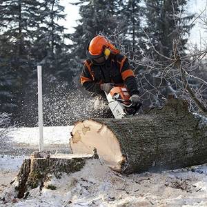 holzfäller schnittschutzkleidung