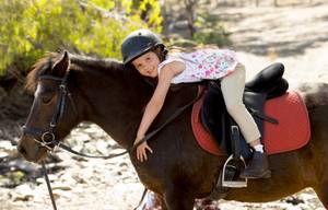 pony