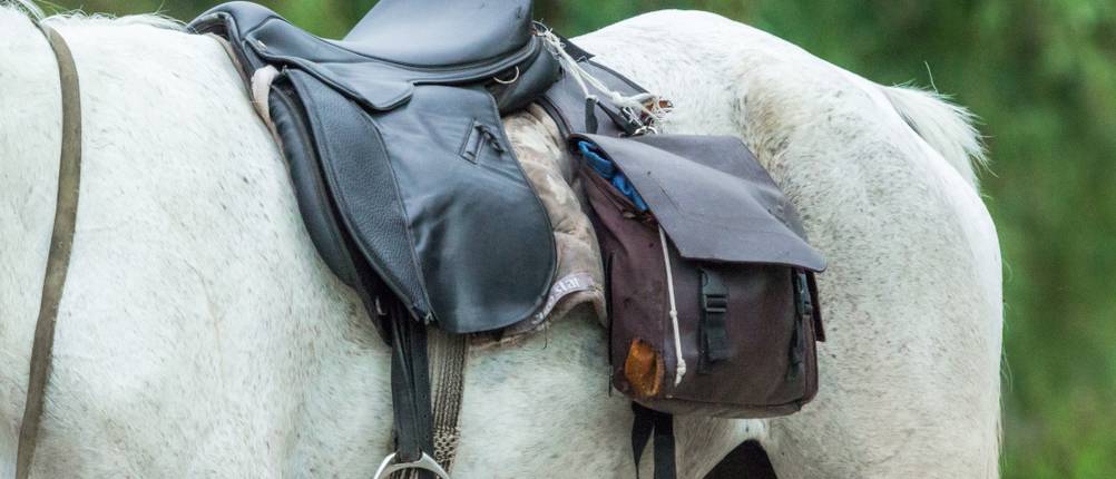 satteltasche pferd test