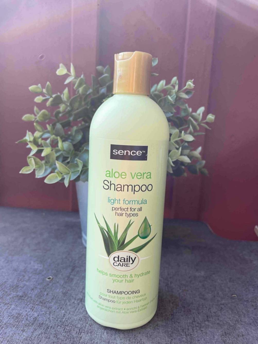 Getestet: Eine Flasche Aloe-vera-Shampoo steht vor einer Pflanze vor einem roten Hintergrund.