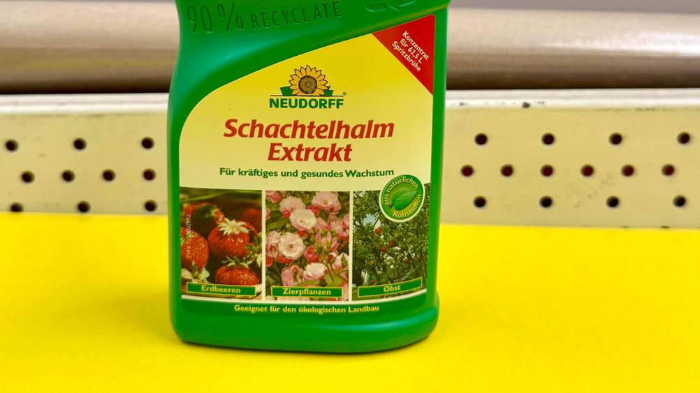 Schachtelhalm-Extrakt im Test: Nahaufnahme des Labels auf der Vorderseite der Verpackung.