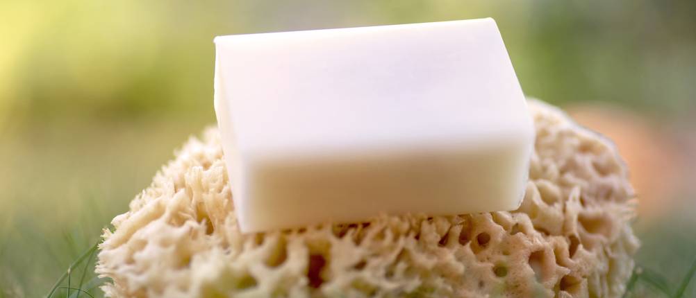 Schafmilchseife-Test: Eine Schafmilchseife liegt auf einem Schwamm.