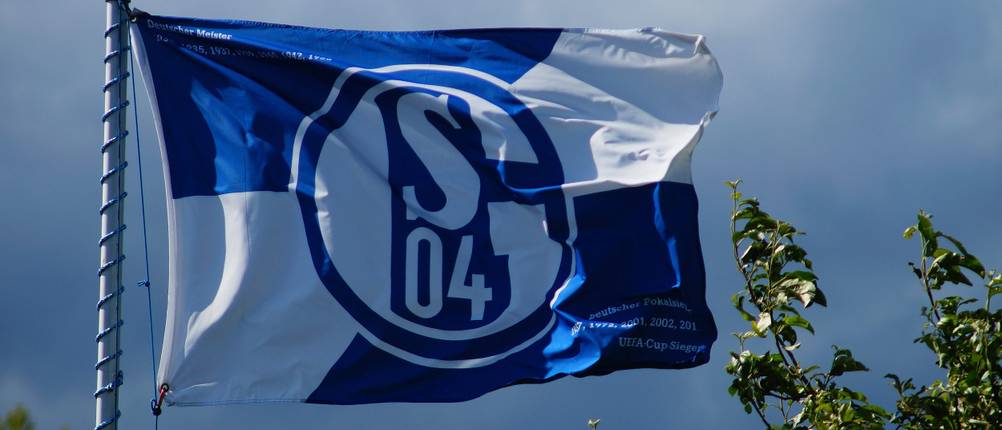 Schalke-Fahne-Test