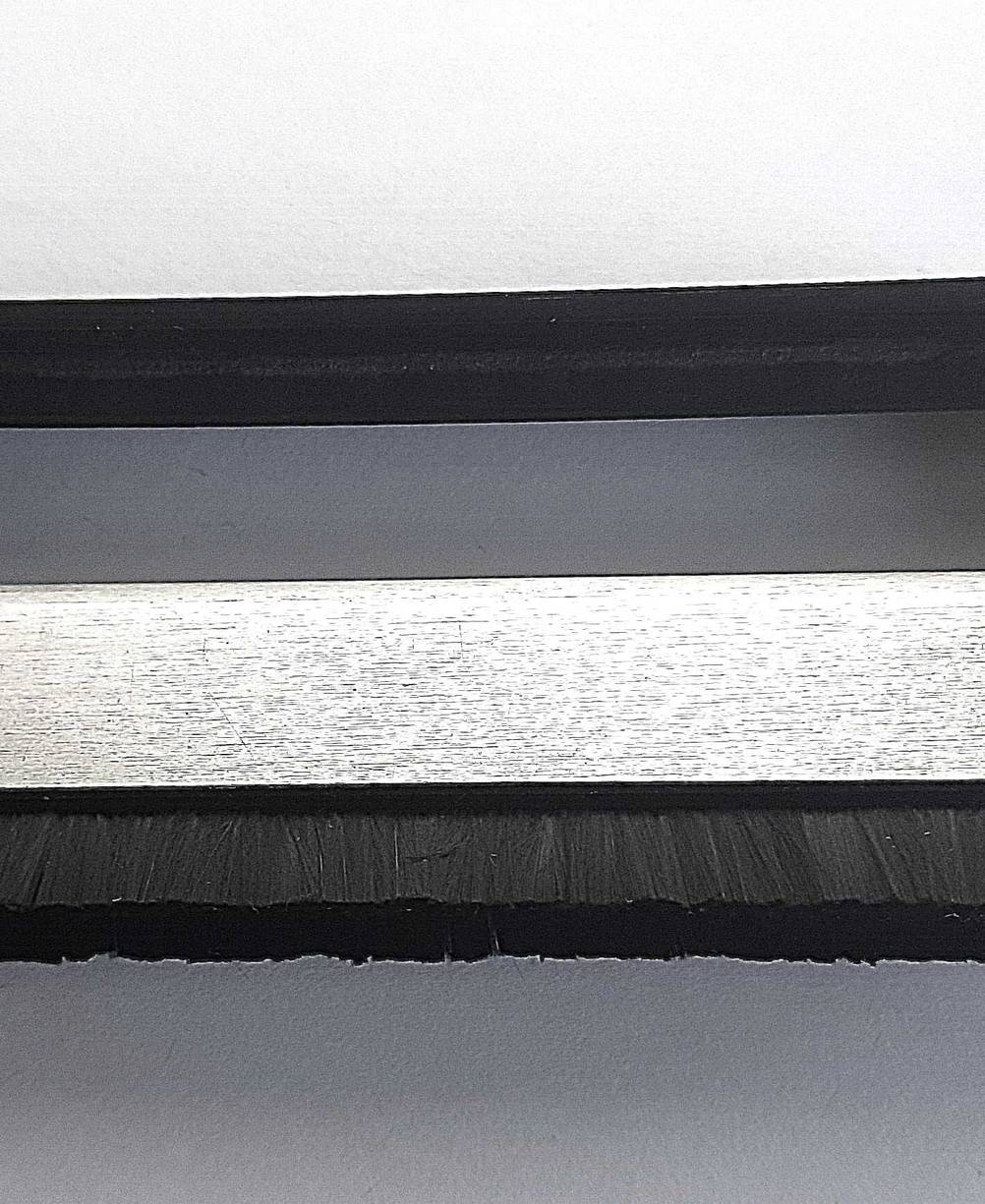 Schallplattenbürste im Test: Nahaufnahme der Bürstenhaare.