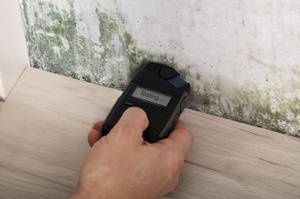 Schimmelentferner-Test: Eine Wand wird mittels eines Hygrometers auf Feuchtigkeit getestet.
