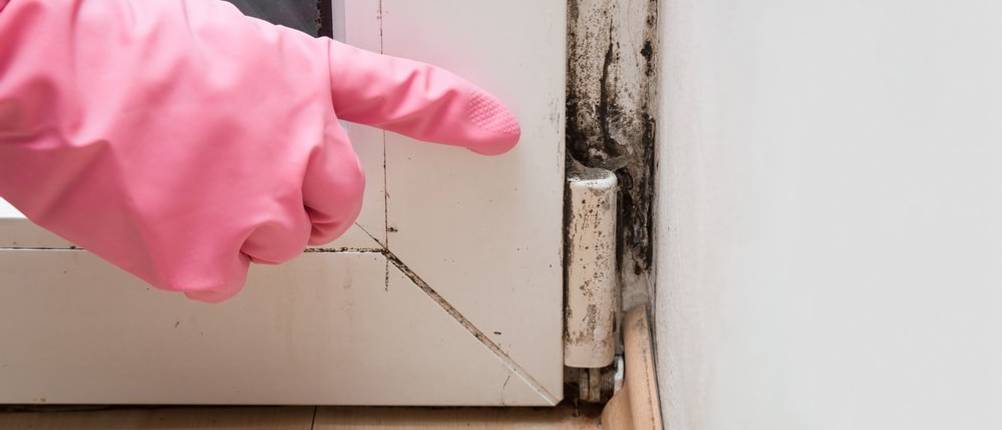 schimmel terrassenfenster bekämpfung