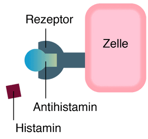 zelle rezeptor antihistamin schlafmittel
