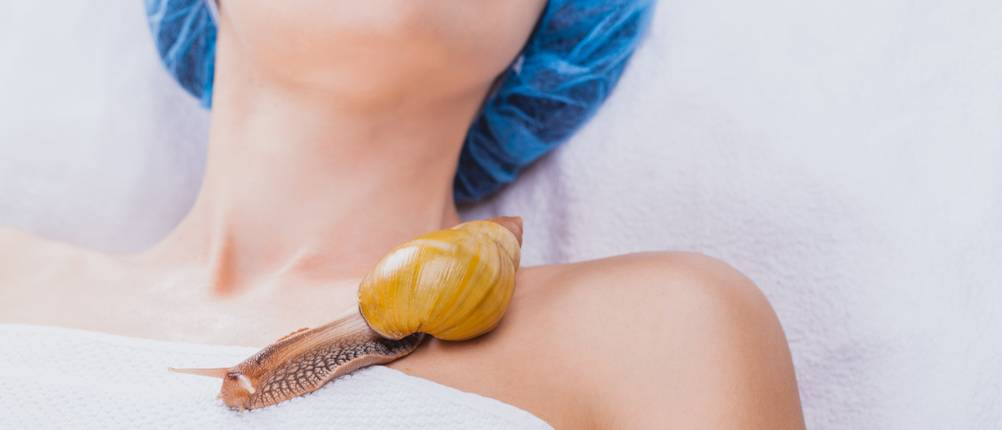 Schneckencreme für Gesicht und Körper