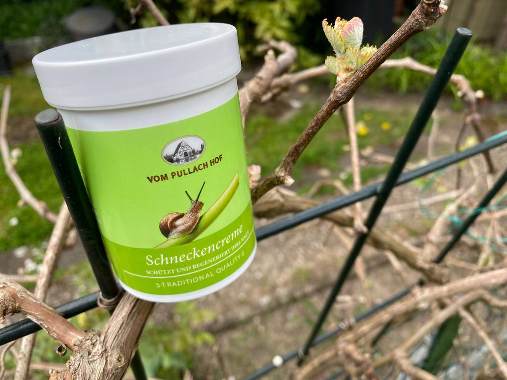 Pullach Hof Schneckencreme