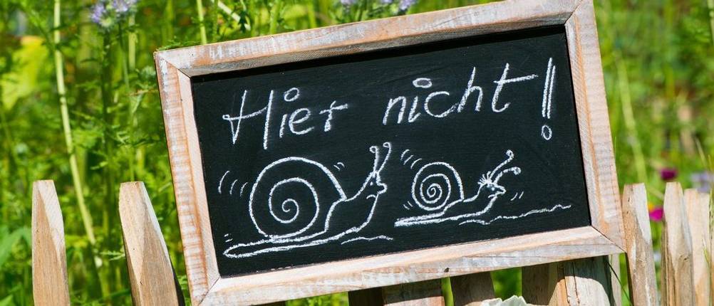Schneckenkorn wehrt die schleimigen Plagegeister besser ab als Schilder