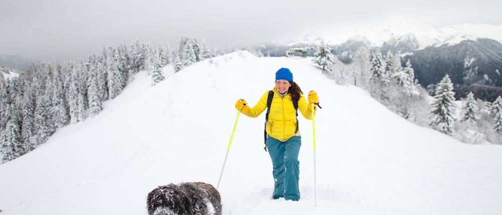 schneeschuhe-für-hunde-test