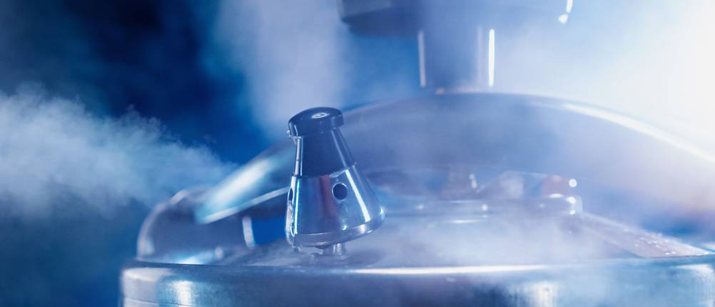 Ein Schnellkochtopf beim Kochen im Test: Dampf steigt aus dem Ventil eines Schnellkochtopfs.