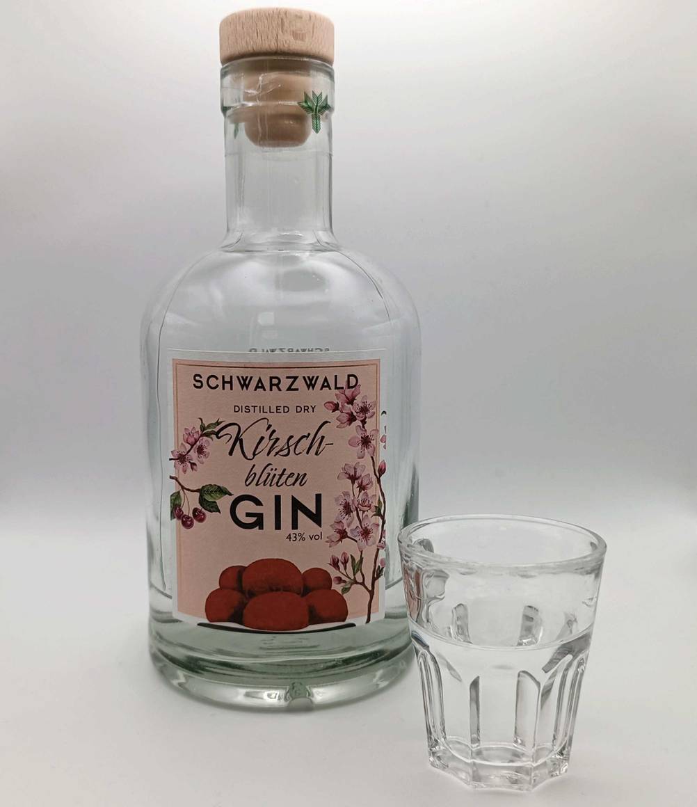 Ginflasche und Schnapsglas stehen auf einer Fläche.