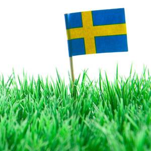 Eine schwedische Flagge steckt im Rasen.