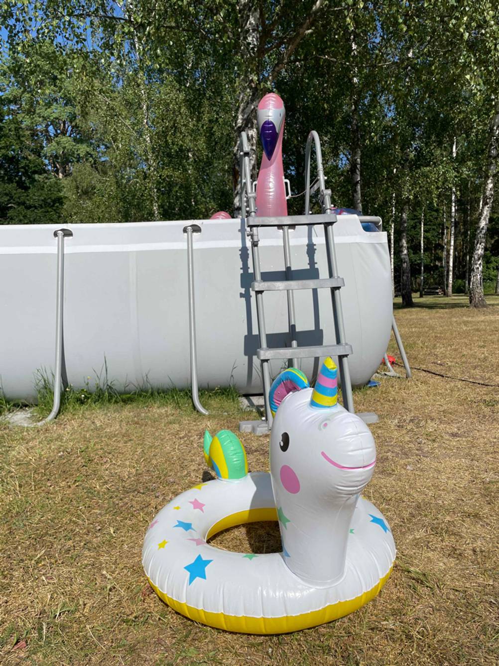 Ein Schwimmring im Test in Form eines Einhorns vor einem Pool