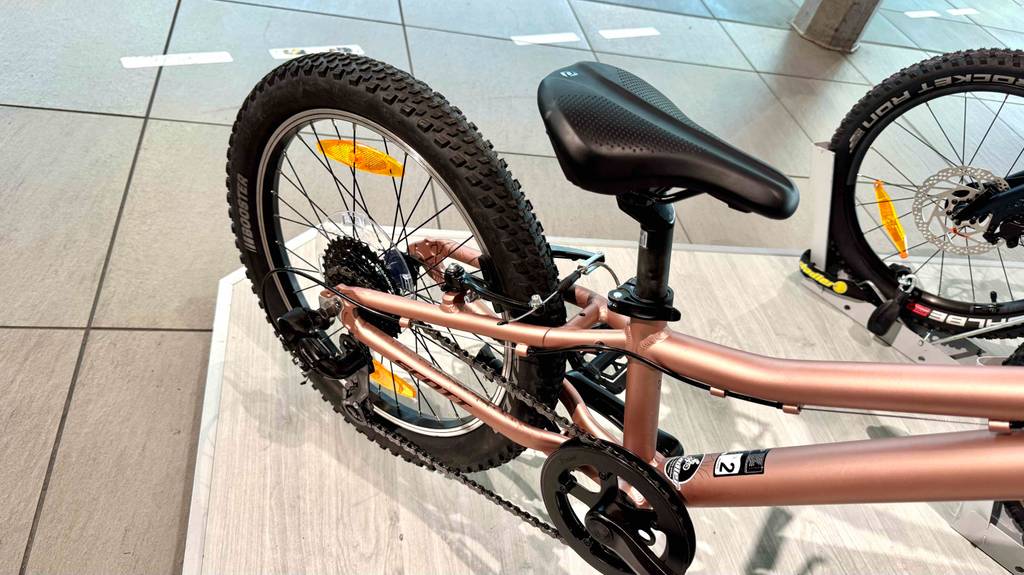 Detailansicht des Hinterrads von einem kupferfarbenen Mountainbike 20 Zoll im Test.