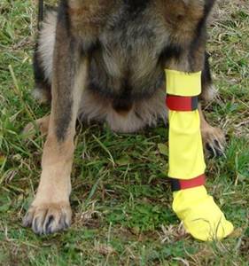 Schuhe für Hunde