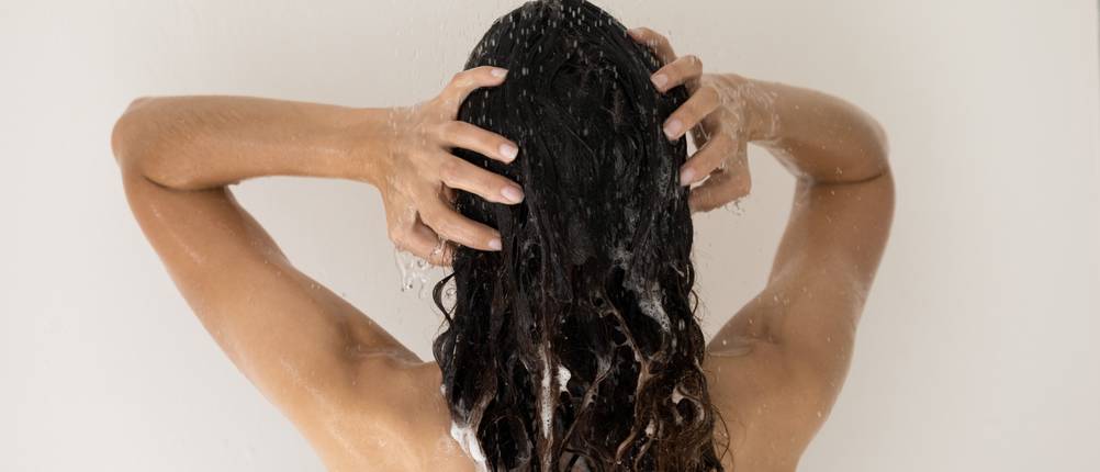 Shampoo-trockenes-Haar-Test