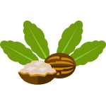 sheabutter