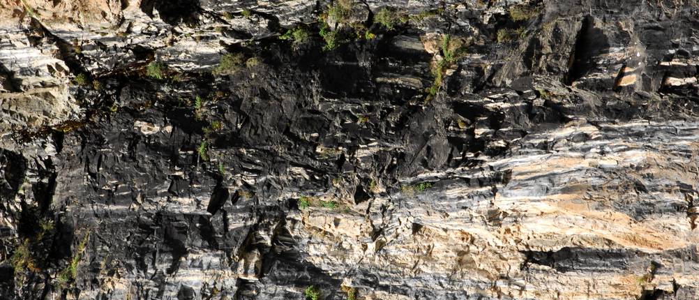 schwarze ausdünstung am berg Mumijo Test