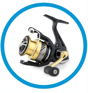shimano stationaerrolle