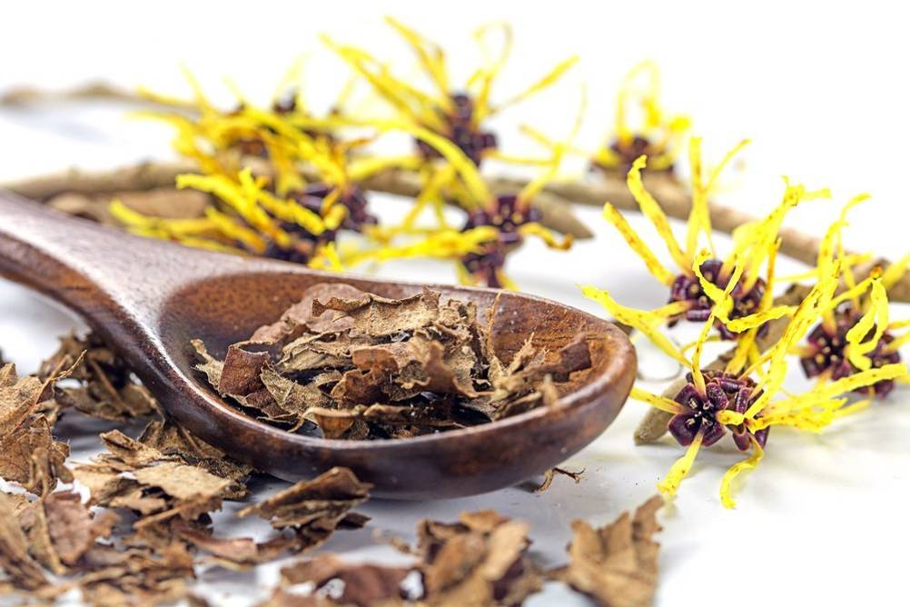 Hamamelis pflanzenkraft arzneimittel