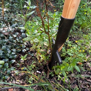 Mit dem Shw-Fire 59006 wird in ein Unkraut gestochen.