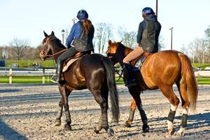 In Sicherheitsweste-Reiten-Tests werden Modelle mit Waben-Protektoren gut bewertet.