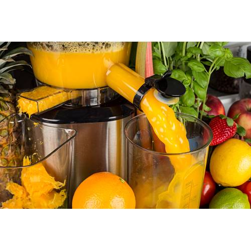 Slow Juicer Test 2026: Top Modelle für nährstoffreichen Saft