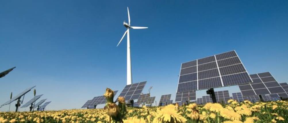 Windrad neben Solaranlagen auf einem Feld mit Blumen.