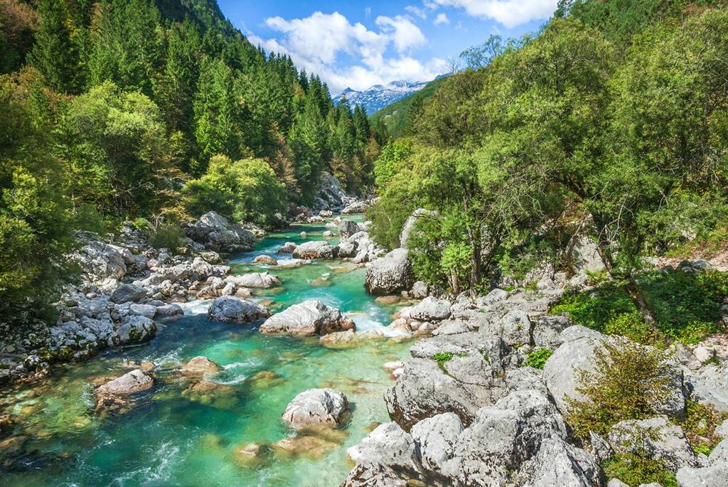 Wilder türksblauer Fluss umgeben von Wäldern im Soca-Tal in den Julischen Alpen Sloweniens. Im Hintergrund ist ein Gebirge zu sehen.