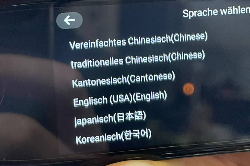 Auf dem getesteten Sofortübersetzer stehen verschiedene Sprachen zur Auswahl.