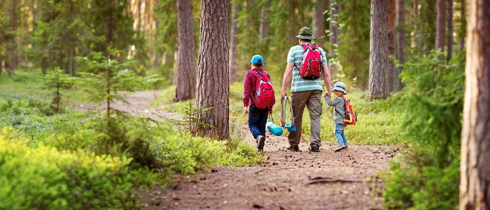 Softshelljacke-Kinder-Test: Ein Mann wandert mit zwei Kindern im Wald.