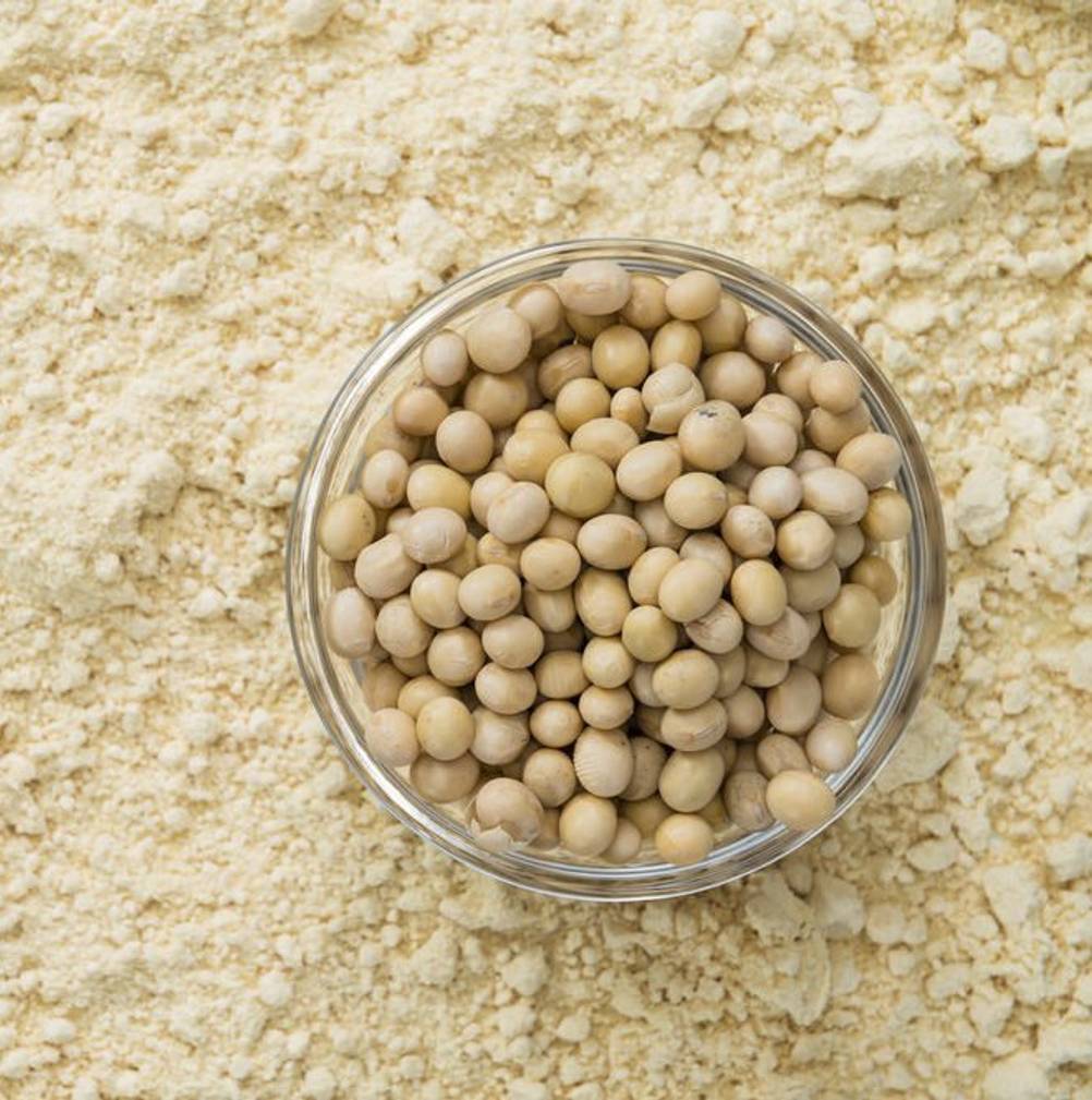Sojaprotein, Erbsenprotein, Reisprotein