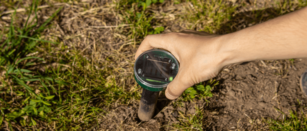 Solar-Tiervertreiber im Test: Eine Person steckt einen Tiervertreiber in Erde.