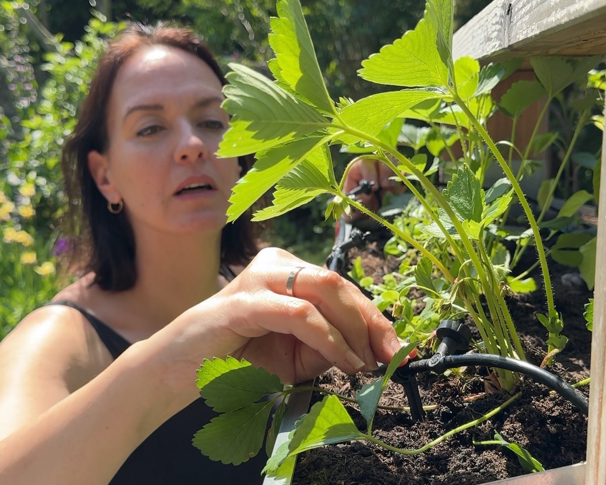 Garten-Expertin Sonja Di Leo im Garten stehend.
