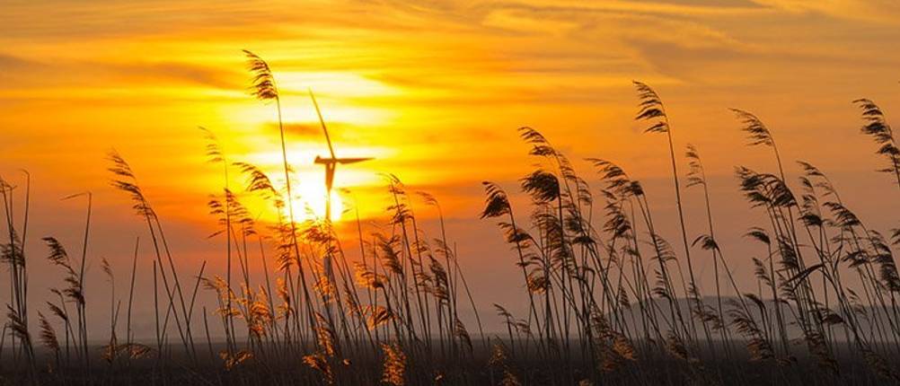 Lieber Sonnenaufgang als LED-Dämmerung; die besten Qi-Ladegeräte stören den Schlaf nicht.
