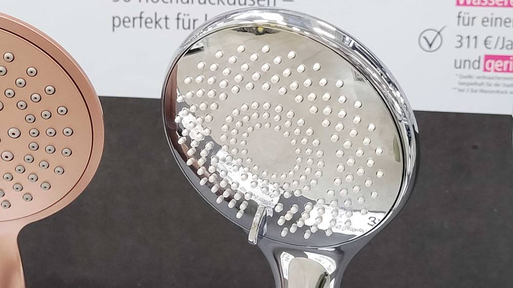 Im Test: Nahaufnahme des Sparduschkopfes mit der Lochverteilung.