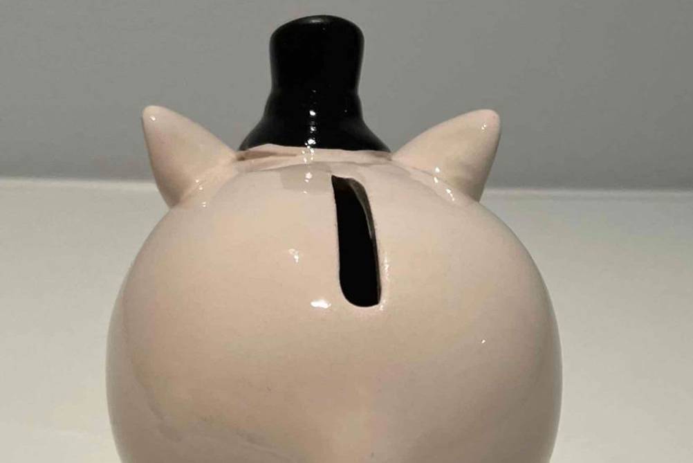 Sparschwein getestet: Sparschwein von hinten.