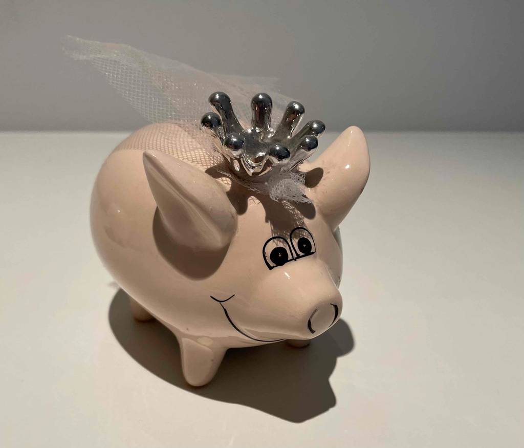 Sparschwein im Test: Sparschwein von vorn.